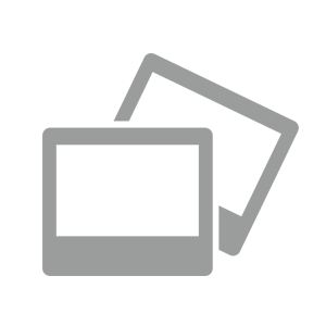 Руководство пользователя SurvX 4 (Краткое)